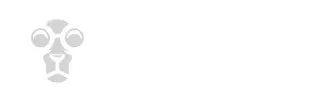 Uudet nettikasinot 2026